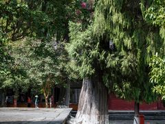 -报恩寺(平武县)