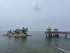 -养马岛旅游度假区