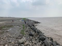 -南汇新城海滩