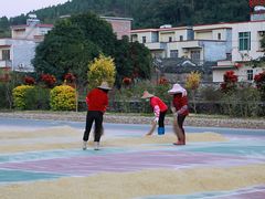 -正宗高流河饭店原创风姜鸡