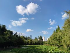 -月牙潭公园
