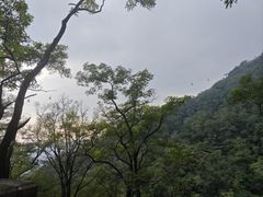 -泰山风景名胜区