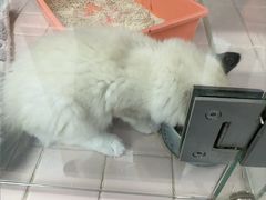 -FAELING PETS美天灵宠物(富力广场店)