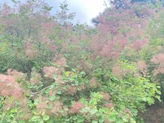 -香山公园