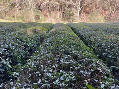 -敬亭山风景名胜区