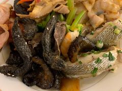 跳跳鱼-温州华侨饭店(信河街店)