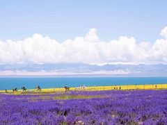 -青海湖国家重点风景名胜区