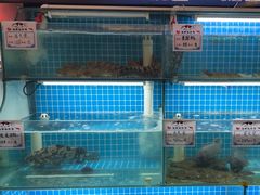 -汤品小厨·海鲜·烧烤·家常菜