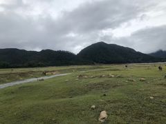 -罗坑大草原