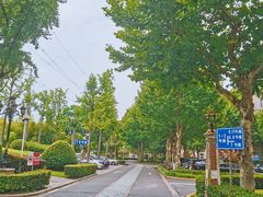 -宝莲城
