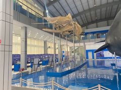 -上海海洋大学鱼文化博物馆(军工路校区)