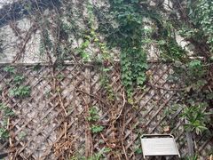 -院子餐厅·大锅菜·老杭帮(桥西直街店)