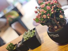 -MUSEE CAFE(保利·时光里店)
