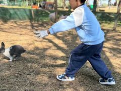 -兴安湖生态运动公园