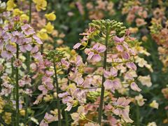 -中国天府农业博览园