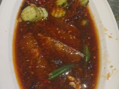 -俭寨大盘鸡·新疆菜·烧烤(博乐店)