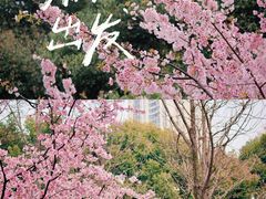 -静安雕塑公园