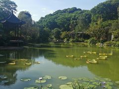 -云溪植物园