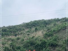 -816工程景区