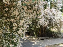 -永定河休闲森林公园