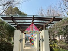 -苏州湾·王焰温泉