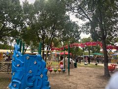 -上海海湾国家森林公园