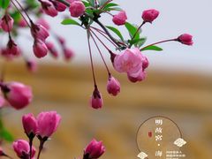 -明故宫遗址公园