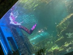 -嘉兴海底世界