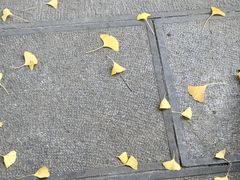 -高淳老街