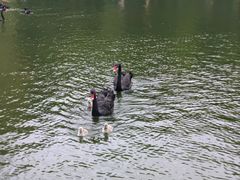 -深圳野生动物园