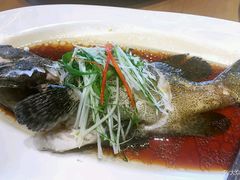 清蒸石斑鱼-仁记海鲜餐厅美食店