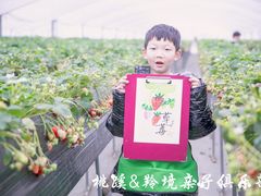 -桃蹊少儿美术馆