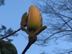 -板樟山森林公园