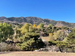 -北京西山国家森林公园