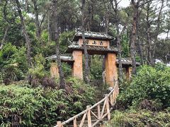 -泰康山生态旅游度假区