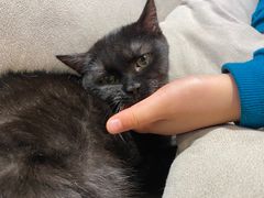 -啵啵喵·猫咖(攀华国际店)