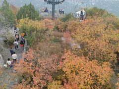 -香山公园