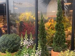 -自由生长植物工作室(深港花卉中心店)