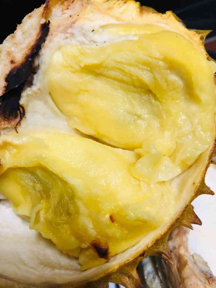 肥仔濑尿虾(全球通总店)-"赣州唯一一家烤榴莲 榴莲还行 烧烤就很一.