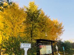 -石家庄市植物园