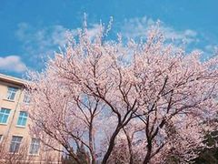 -东北大学(南湖校区)