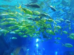 -福州罗源湾海洋世界旅游区