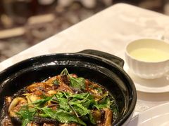 -锦江宾馆-花园餐厅