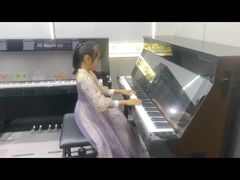 -Mr.先声音乐(东海店)
