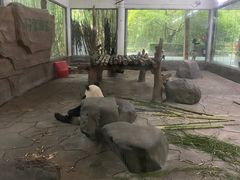 -宁波野生动物园