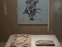 -南越王博物院(王宫展区)