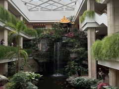 -白天鹅宾馆-宏图府餐厅