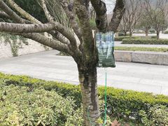 -阿哈湖国家湿地公园