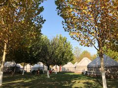 -九十九顶毡房(阜石路店)