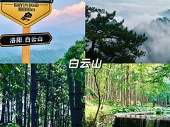 -洛阳白云山景区